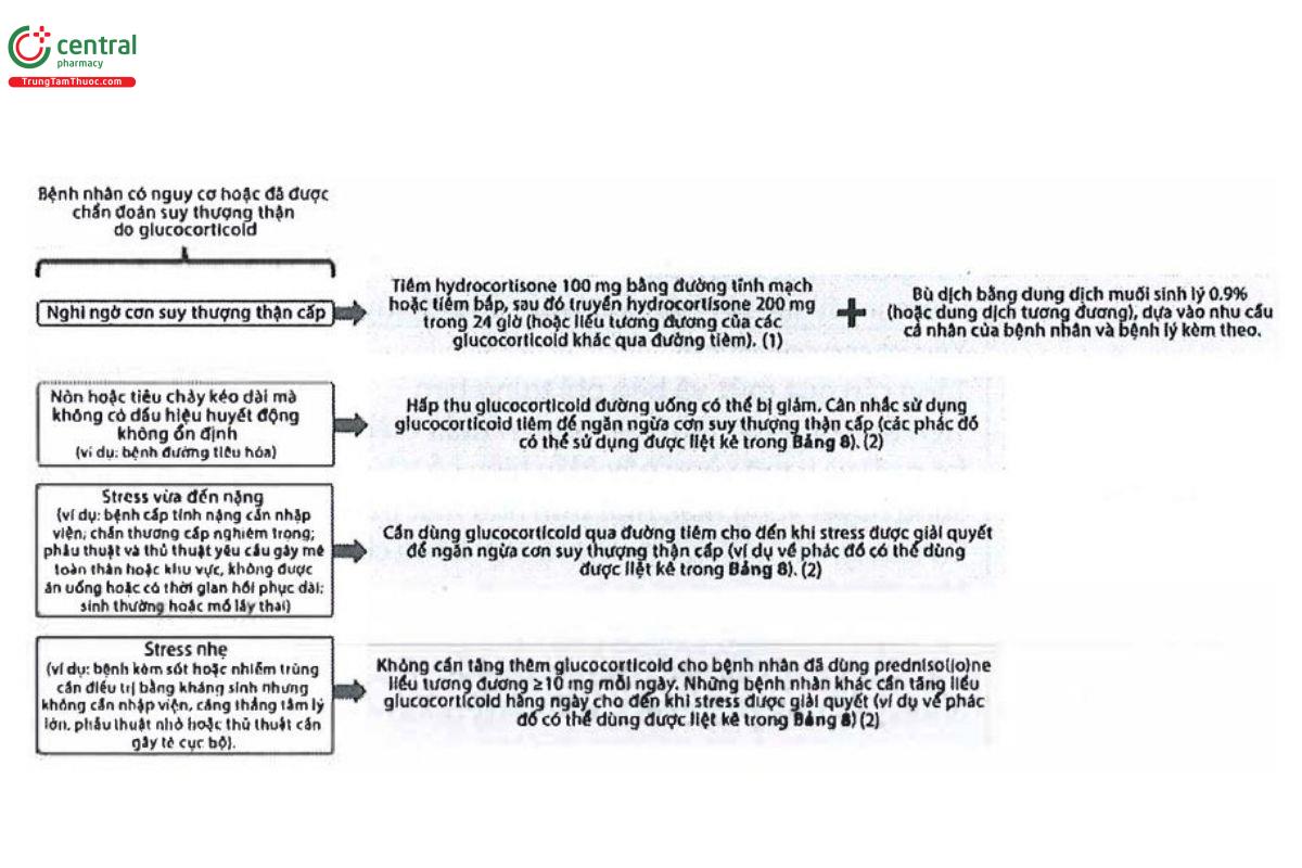 Hình 3: Quản lý bệnh nhân có nguy cơ hoặc được chẩn đoán suy thượng thận do glucocorticoid với nghi ngờ cơn suy thượng thận cấp hoặc trong tình huống stress