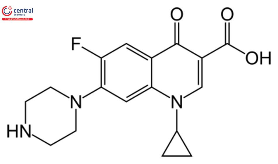 Cấu trúc của Quinolone