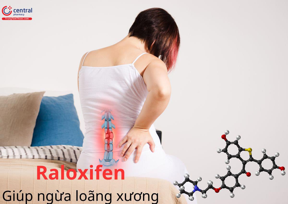 Raloxifen giúp ngừa loãng xương