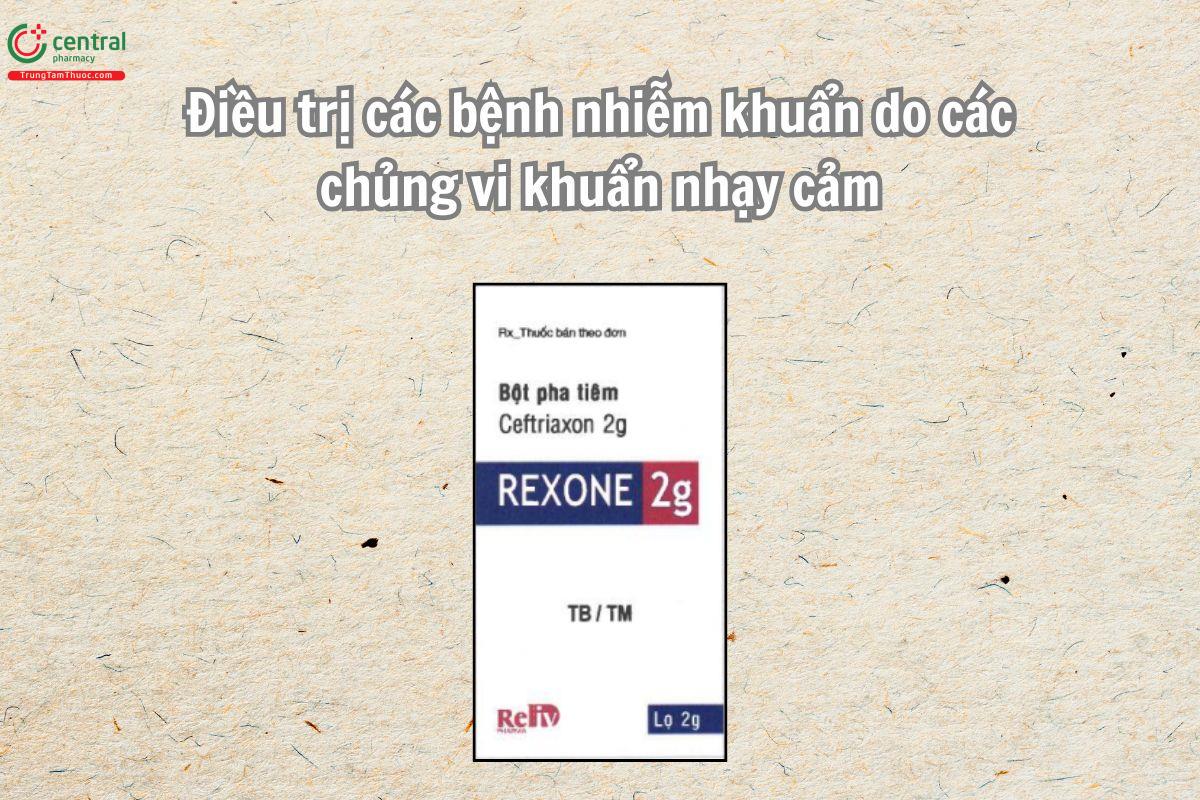Thuốc Rexone 2g được chỉ định trong điều trị các bệnh nhiễm khuẩn do các chủng vi khuẩn nhạy cảm