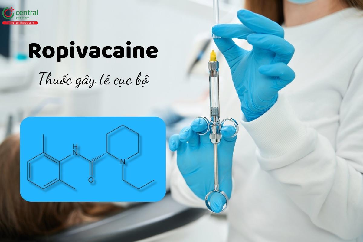 Ropivacain được chỉ định cho bệnh nhân trưởng thành để gây tê vùng hoặc gây tê tại chỗ trong phẫu thuật hoặc để kiểm soát cơn đau cấp tính.