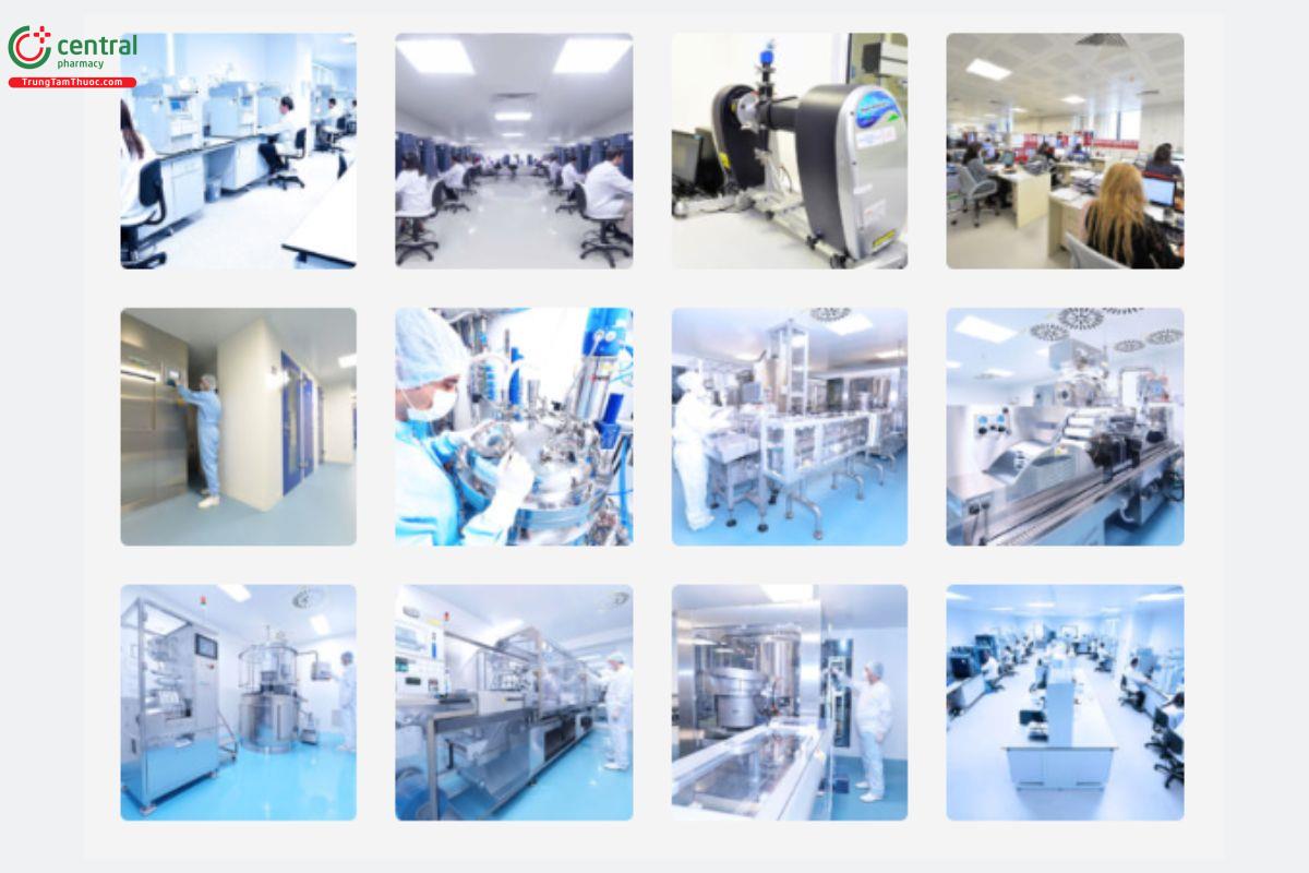 Rotapharm - Sản xuất và cung cấp các nhóm thuốc điều trị khác nhau