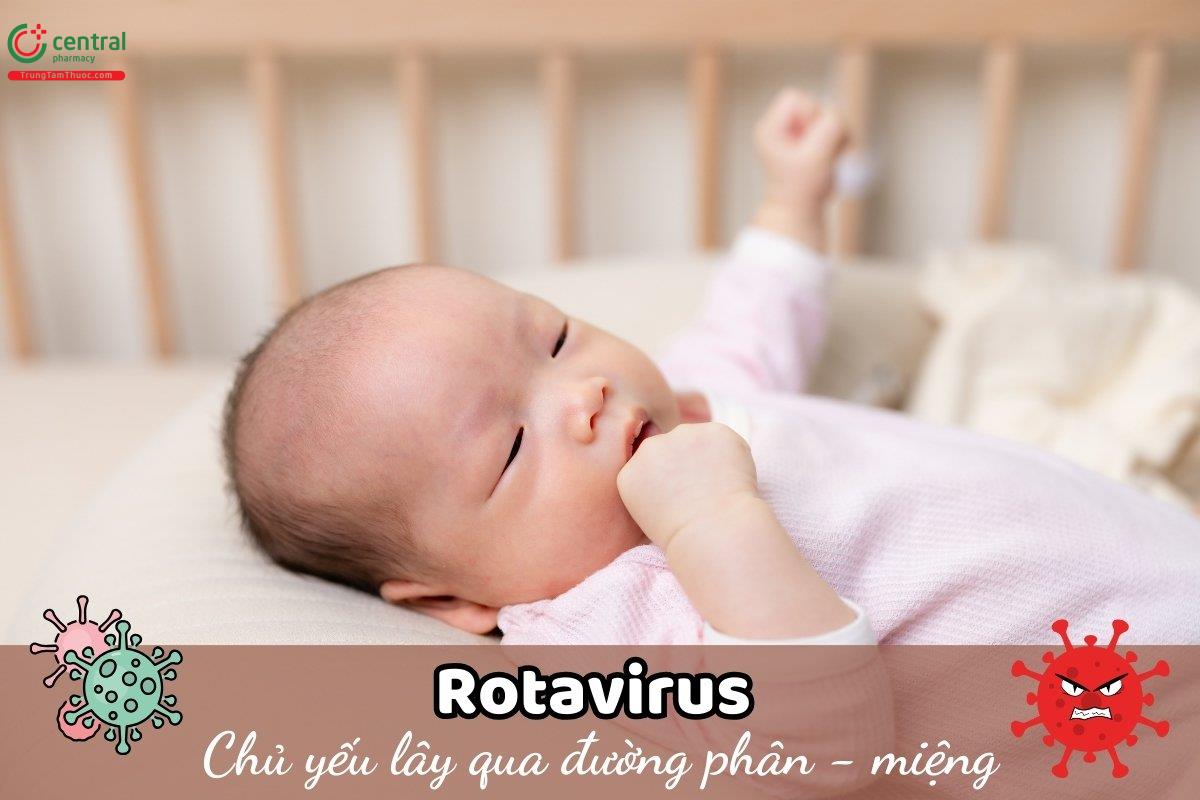 Rotavirus chủ yếu lây qua đường phân - miệng