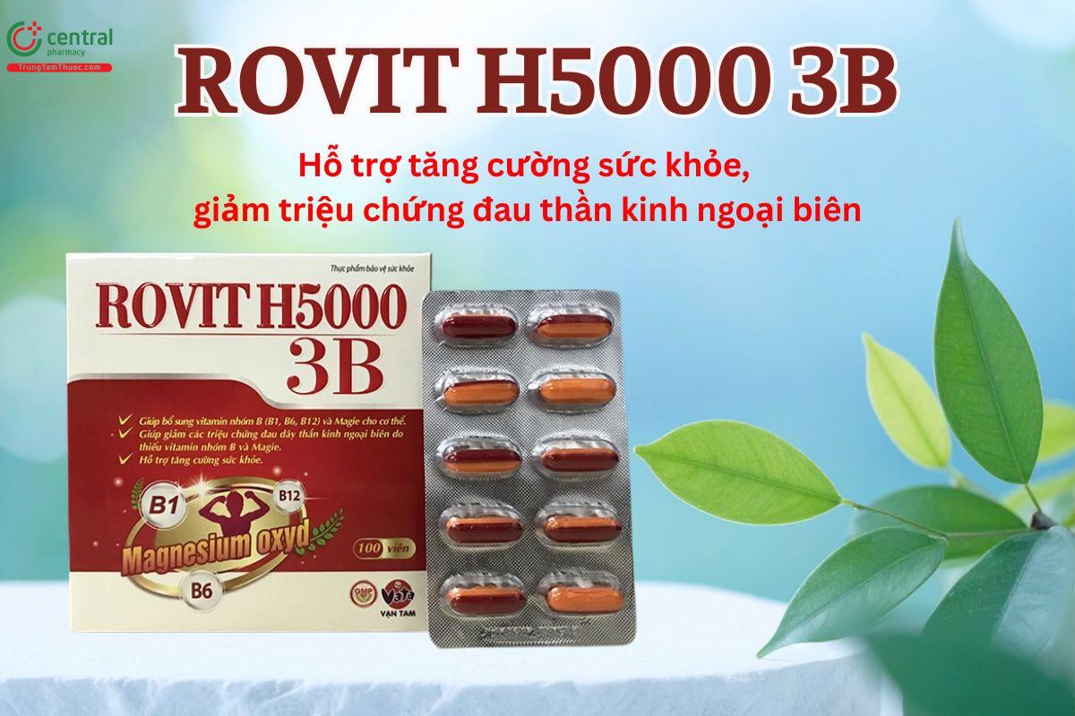 Rovit H5000 3B hỗ trợ tăng cường sức khỏe, giảm triệu chứng đau dây thần kinh ngoại biên