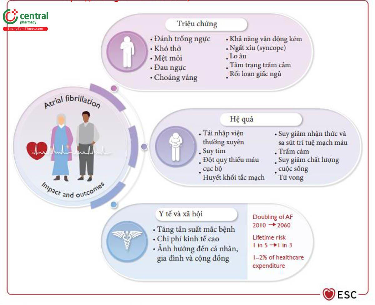 Figure 1 Tác động và kết cục liên quan đến rung nhĩ lâm sàng