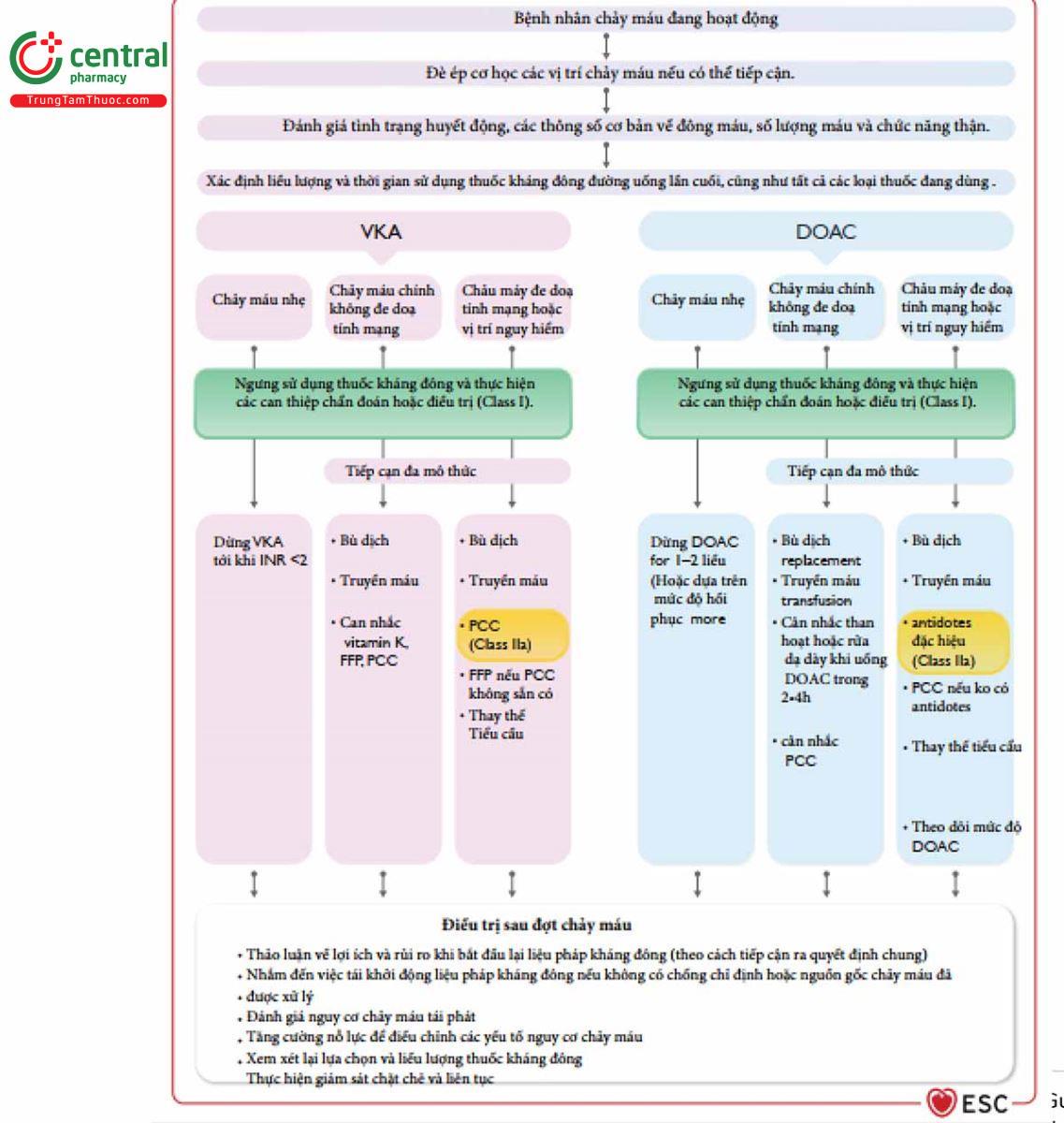 Figure 11 Quản lý xuất huyết liên quan chống đông đường uống ở bệnh nhân rung nhĩ