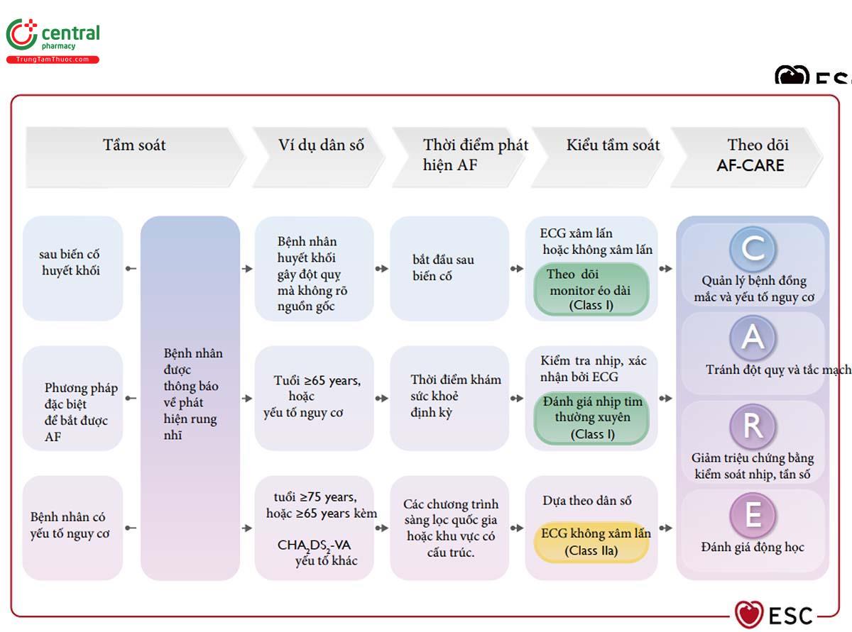 Figure 16 Các phương pháp tiếp cận trong sàng lọc rung nhĩ