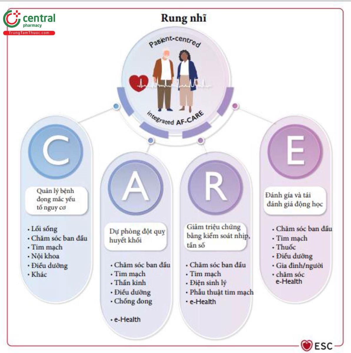 Figure 2 TIếp cận đa mô thức cho điều trị rung nhĩ