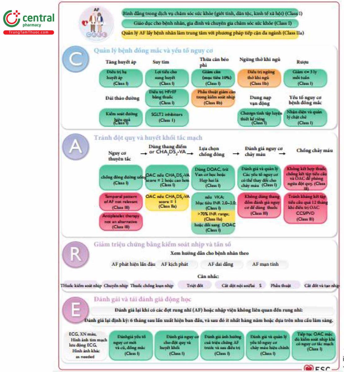 Figure 3 Minh họa trung tâm. Quy trình chăm sóc bệnh nhân rung nhĩ (AF)