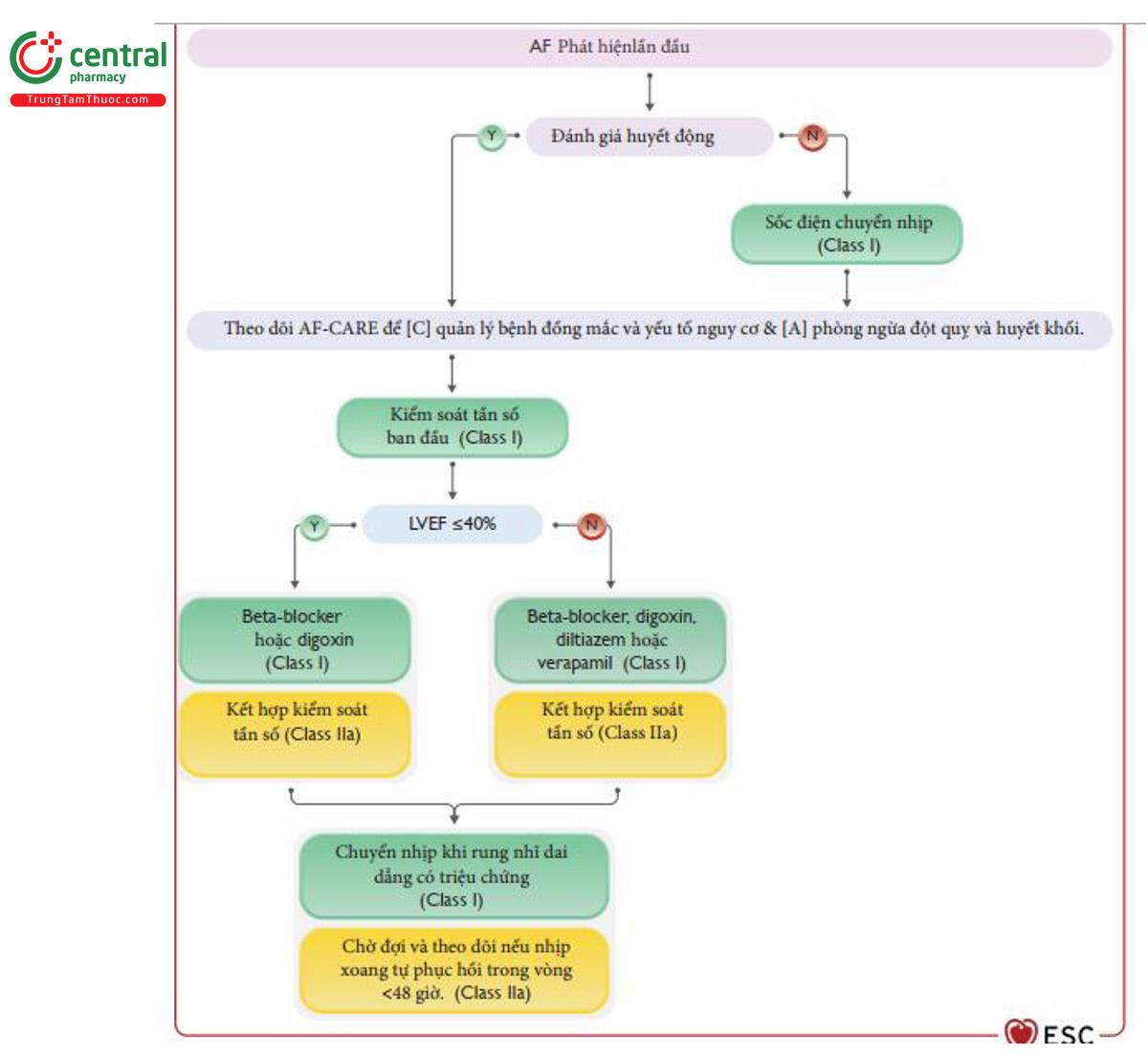 Figure 4 Quy trình chăm sóc cho bệnh nhân được chẩn đoán rung nhĩ lần đầu