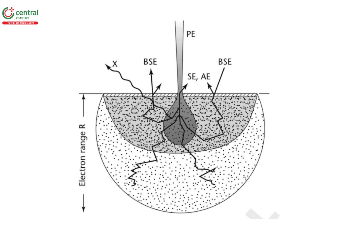Figure 2. Interaction diagram