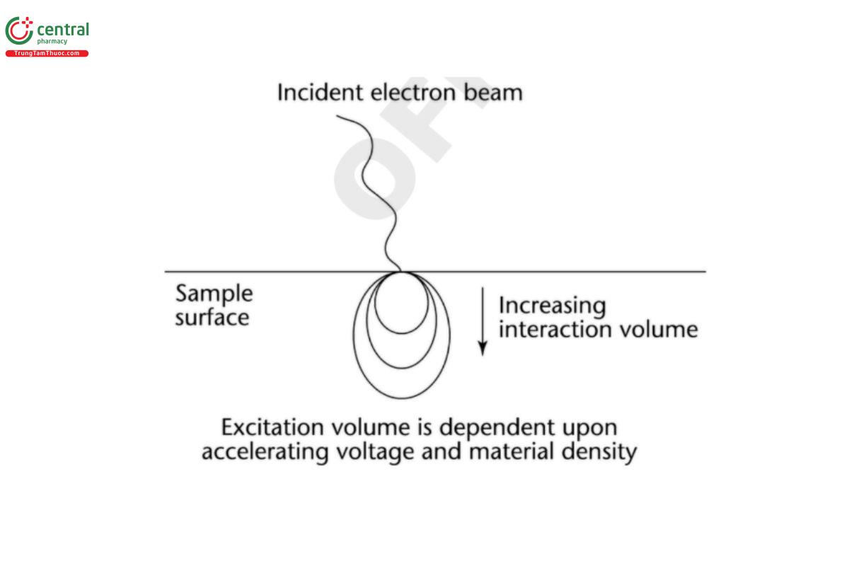 Figure 3. Bulk penetration.