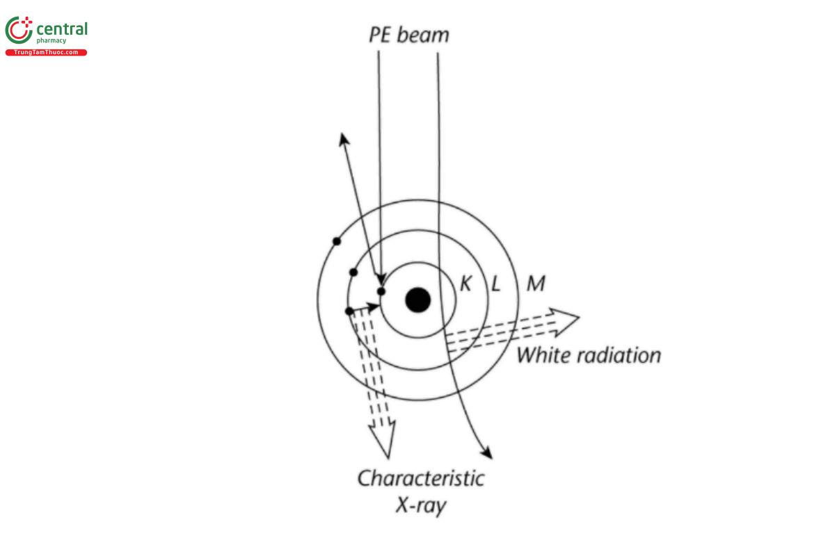 Figure 5. Atom model.