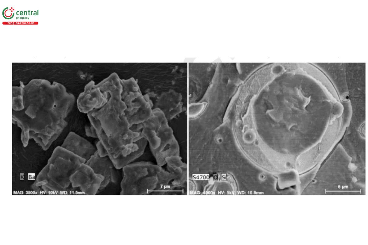 Figure 7. Left: Potassium and barium maps overlaid on the SE image of a mixed potassium/barium precipitate. Right: Oxygen and silicon  maps overlaid on SE image of a vitrified silicone/water emulsion.