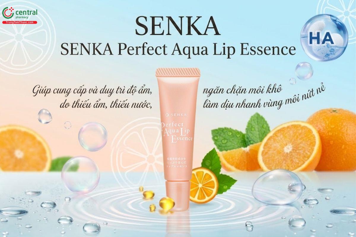 Tinh chất dưỡng môi SENKA Perfect Aqua Lip Essence giữ ẩm, giảm thâm môi
