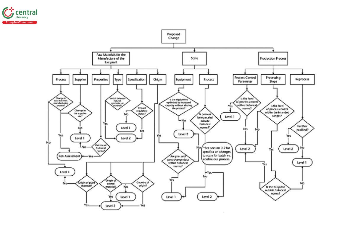 Figure 2. Decision tree covering raw materials for the manufacture of the excipient, scale, and production processes.