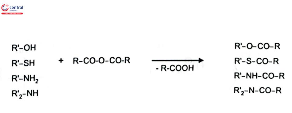 Sơ đồ phản ứng 2: Phản ứng dẫn xuất hóa bằng anhydrid acid 