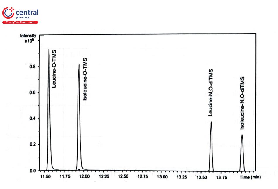 Hình 4.5. Sắc ký đồ của chất dẫn xuất O - TMS và N, O - diTMS của leucin và isoleucin. Dẫn xuất hóa bằng MSTFA trong pyridin, giữ ở 60°C trong 1 giờ. Điều kiện GC: Cột : Rxi - 5MS (30 m x 0,25 mm; 0,25 um, Restek); Chương trình nhiệt độ: 50°C (1 phút), 8°C/phút đến 300°C (10 phút); khí mang : He 0,7 mL/ phút; tiêm mẫu: không chia dòng, 1 HL ở 280°C; phát hiện: MS full scan 