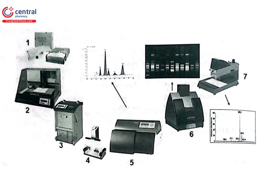 Hình 3.1. Hệ thống HPTLC của hãng Camag - Thụy Sỹ 1. Bản mỏng; 2. Thiết bị đưa mẫu lên bản mỏng (tự động); 3. Buồng khai triển tự động; 4. Dụng cụ nhúng bản mỏng (để phát hiện); 5. Thiết bị quét; 6. Thiết bị chụp ảnh; 7. Bộ phận interface tách mẫu ra khỏi lớp chất hấp phụ đưa vào máy đo MS