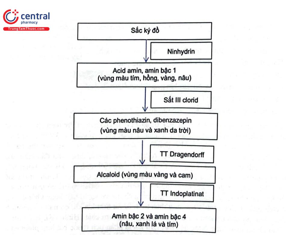 Hình 3.8. Trình tự hiện màu và phát hiện một số nhóm chức khác nhau của hợp chất hữu cơ chứa nitơ 