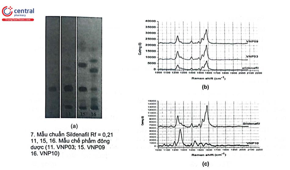 Hình 3.16. Sắc ký đồ TLC (a); phổ Raman của sildenafil chuẩn và mẫu thử dương tính (b); phổ Raman của sildenafil chuẩn và mẫu thử âm tính (c)