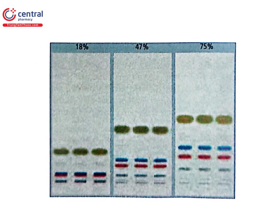 Hình 3.6. Sắc ký đồ tách các chất màu bằng TLC ở các độ ẩm khác nhau