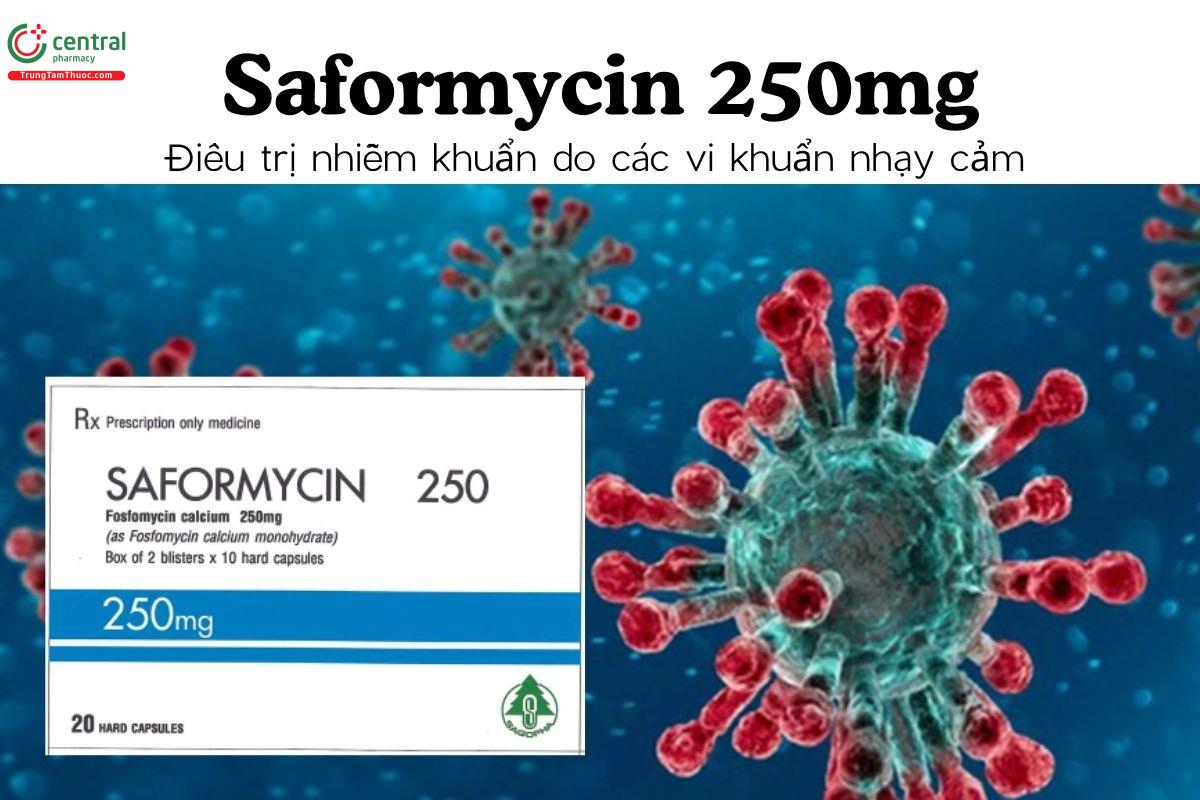 Thuốc Saformycin 250mg - Điều trị nhiễm khuẩn do các vi khuẩn nhạy cảm 