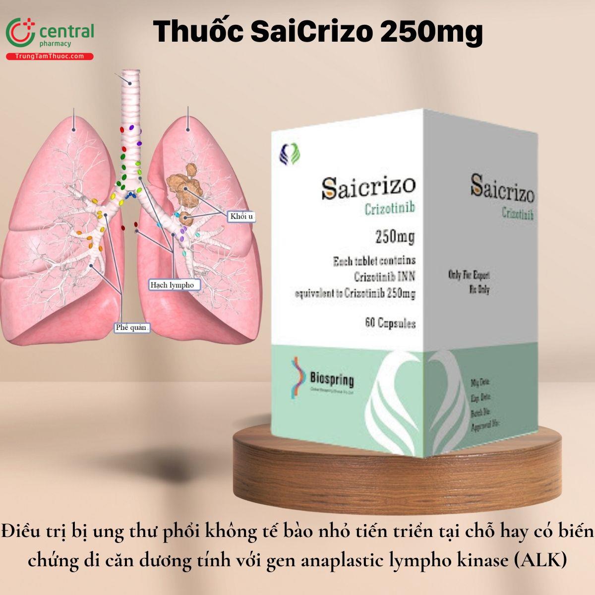 Chỉ định của thuốc SaiCrizo 250mg