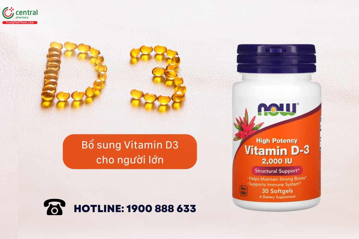 Sản phẩm Now High Potency Vitamin D-3 2000IU