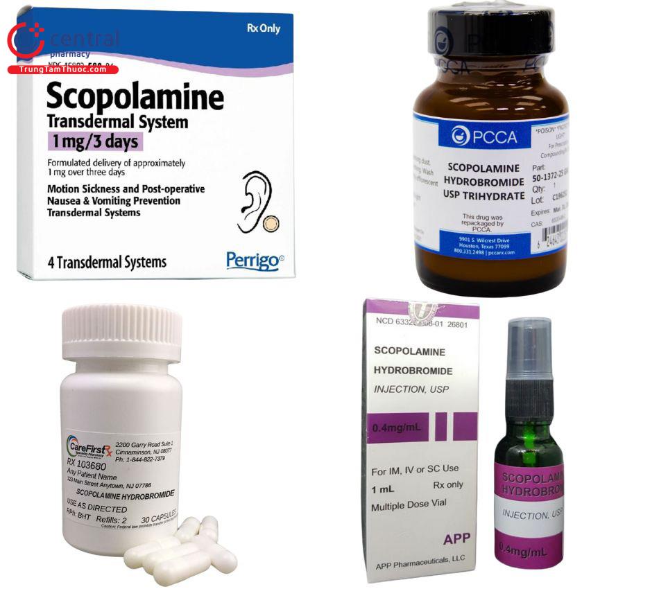 Các thuốc chứa Scopolamine