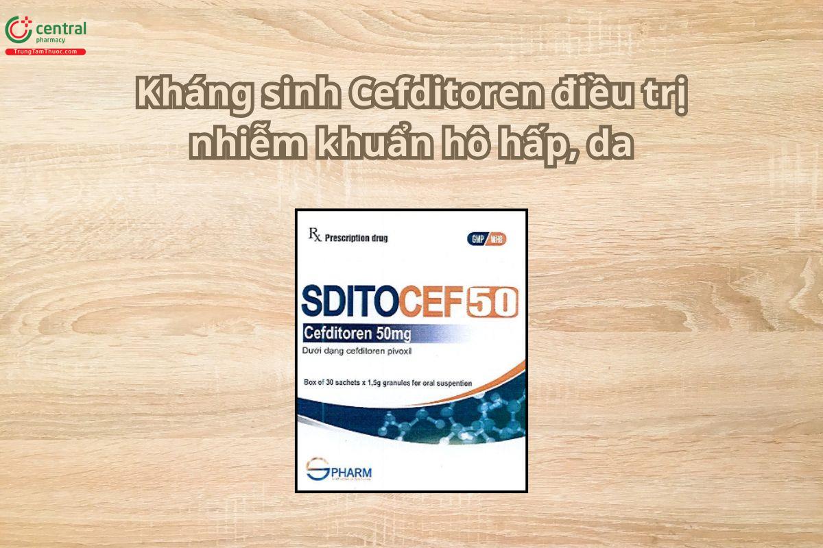 Thuốc Sditocef 50mg kháng sinh điều trị nhiễm khuẩn hô hấp
