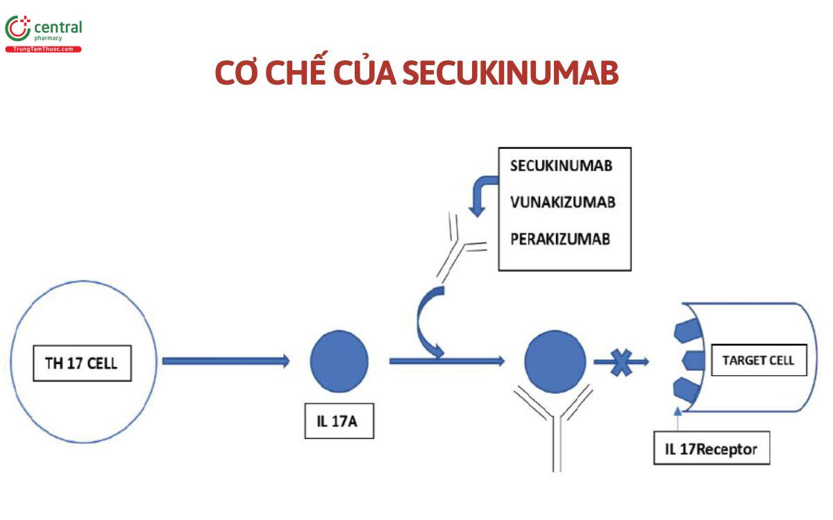 Cơ chế Secukinumab