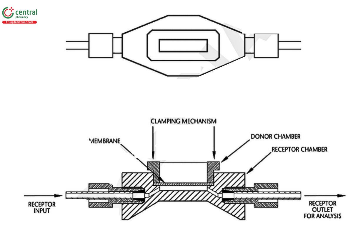Figure 10. Schematic diagrams of top view and lateral view of an assembled horizontal flow-through cell.