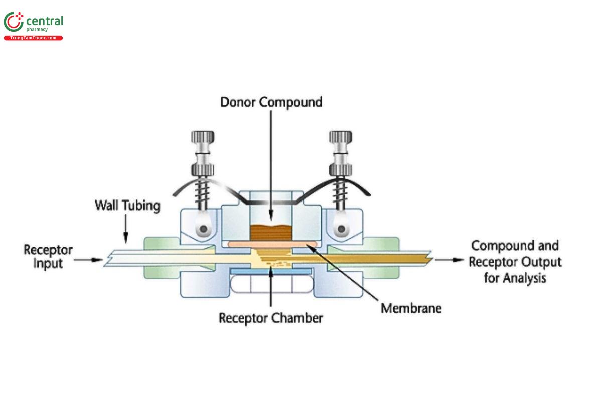 Figure 9. Schematic diagram detailing an assembled horizontal flow-through cell.