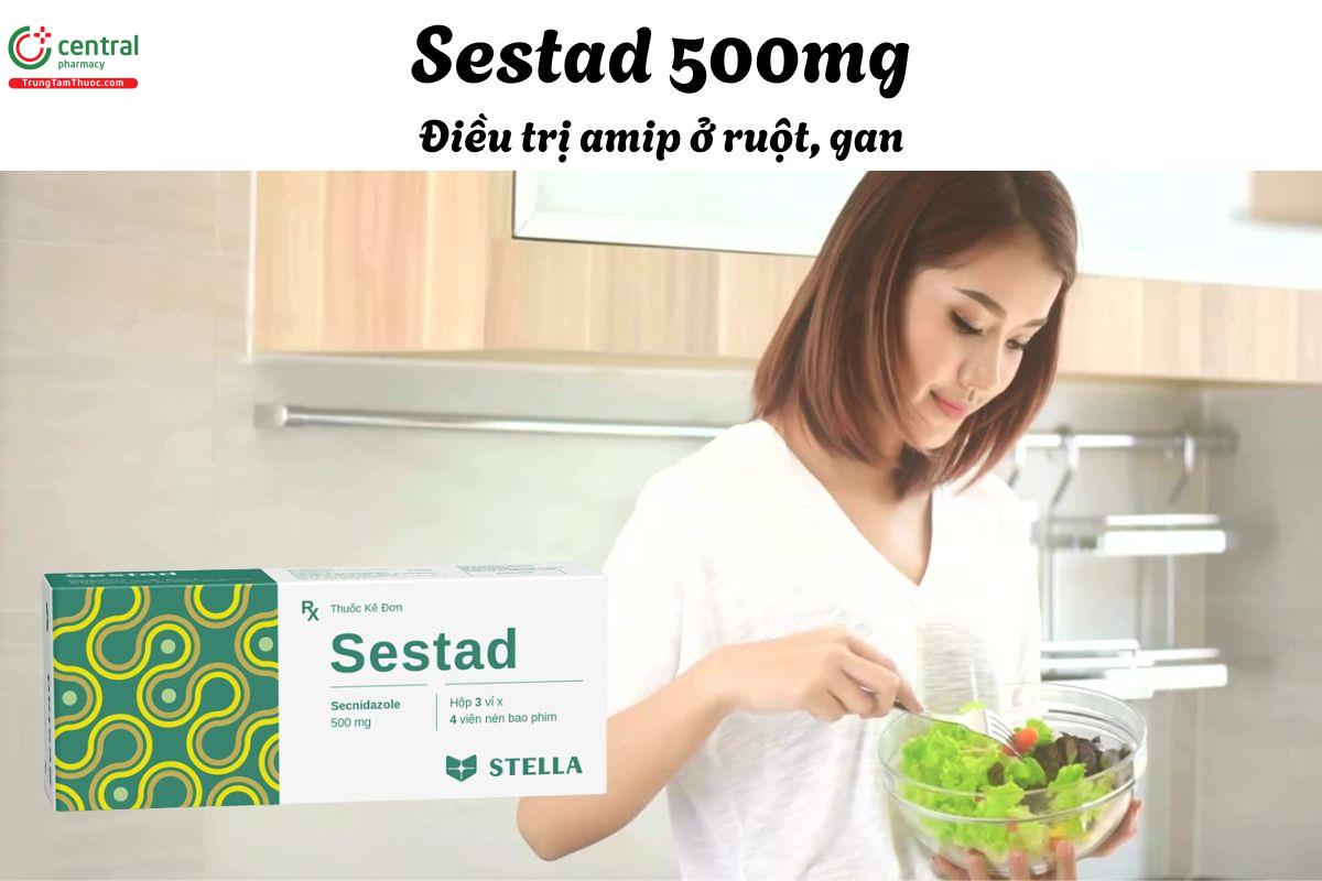 Thuốc Sestad 500mg - Điều trị amip đường ruột và gan, viêm âm đạo