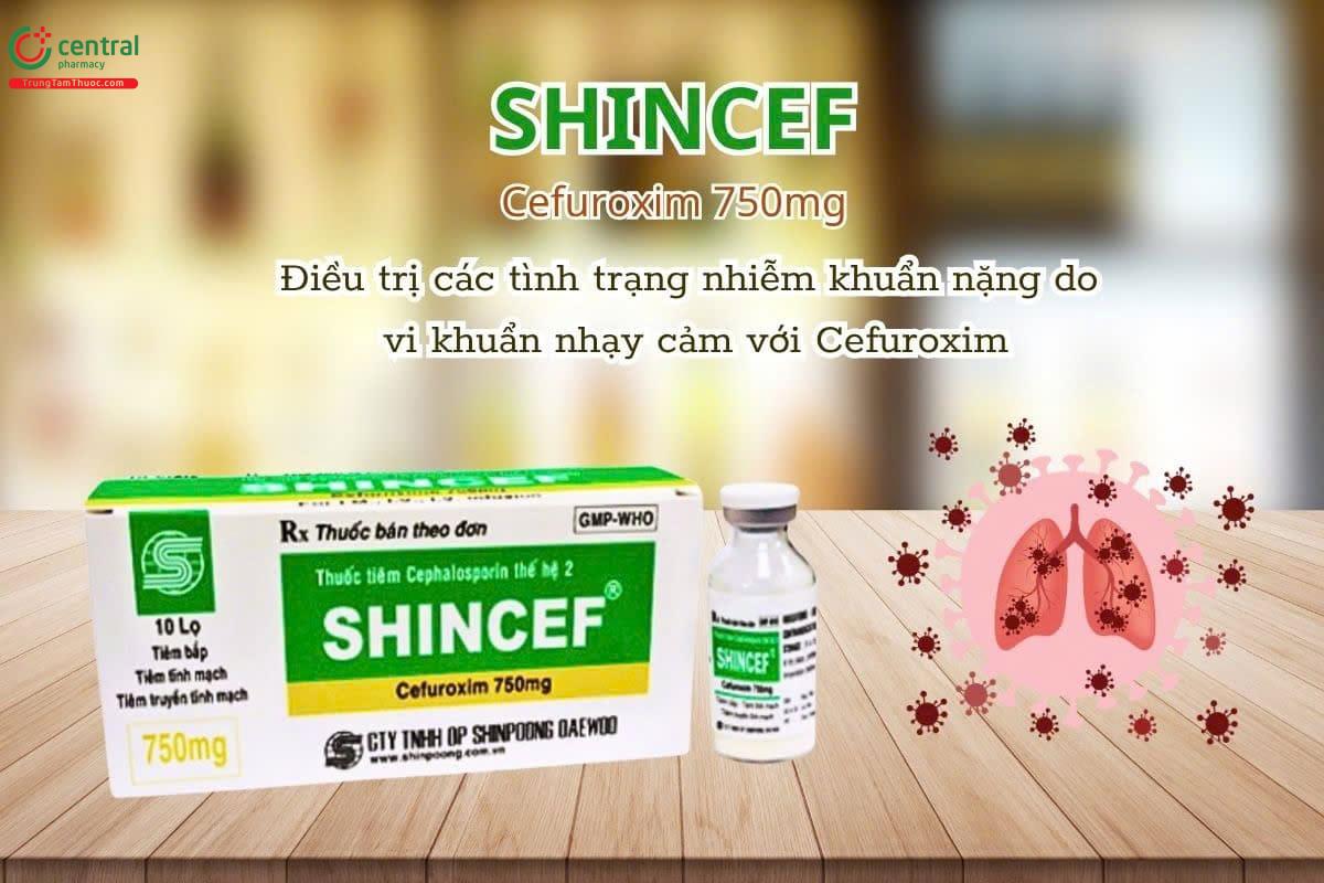 Thuốc Shincef 750mg trị nhiễm khuẩn nặng và dự phòng sau phẫu thuật