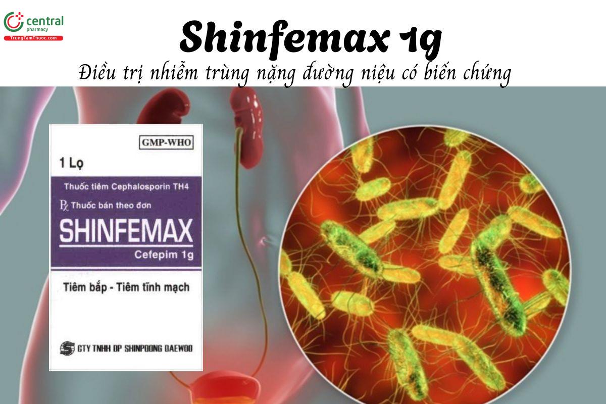 Thuốc Shinfemax 1g - Điều trị nhiễm trùng nặng đường niệu có biến chứng