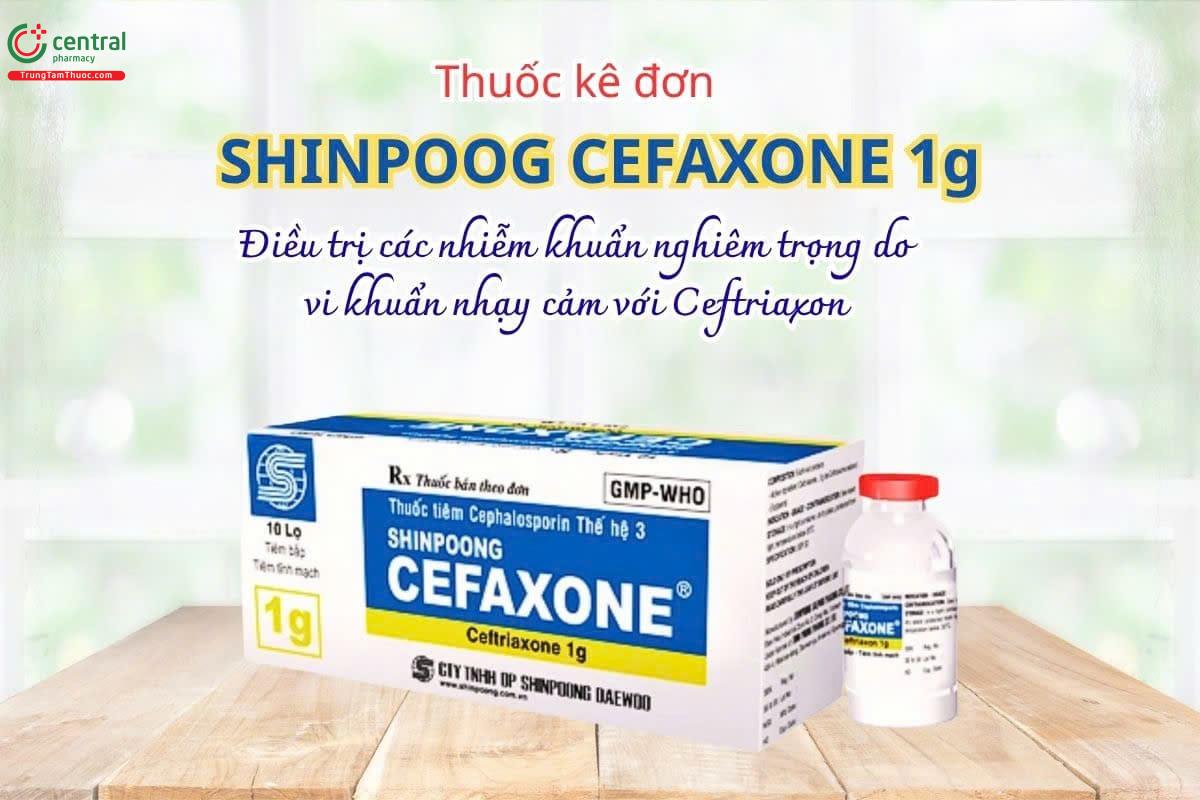Thuốc Shinpoog Cefaxone 1g (Ceftriaxon) dùng điều trị viêm màng não, viêm phổi, nhiễm trùng tiết niệu, huyết, xương khớp và dự phòng nhiễm khuẩn sau phẫu thuật