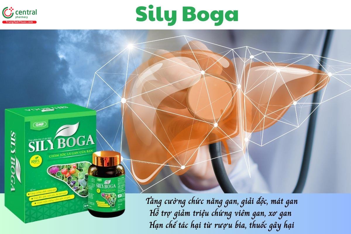 Sily Boga giúp tăng cường chức năng gan, giải độc, mát gan, hỗ trợ giảm các triệu chứng viêm gan, xơ gan và hạn chế tác hại từ rượu bia, thuốc gây hại
