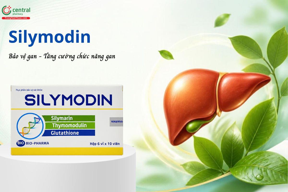 Silymodin - Tăng cường chức năng gan, bảo vệ gan