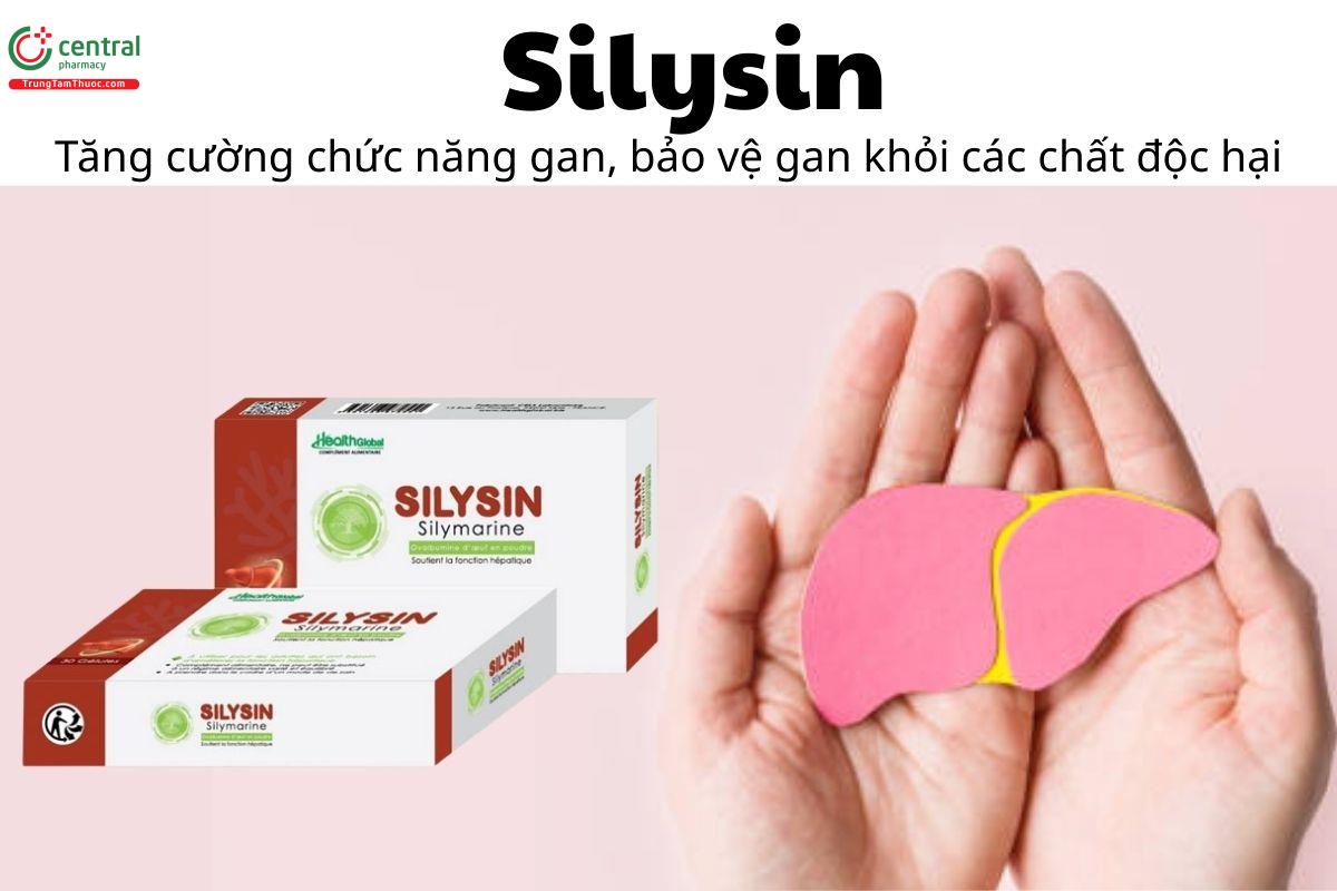 Silysin - Tăng cường chức năng gan, bảo vệ gan khỏi các chất độc hại