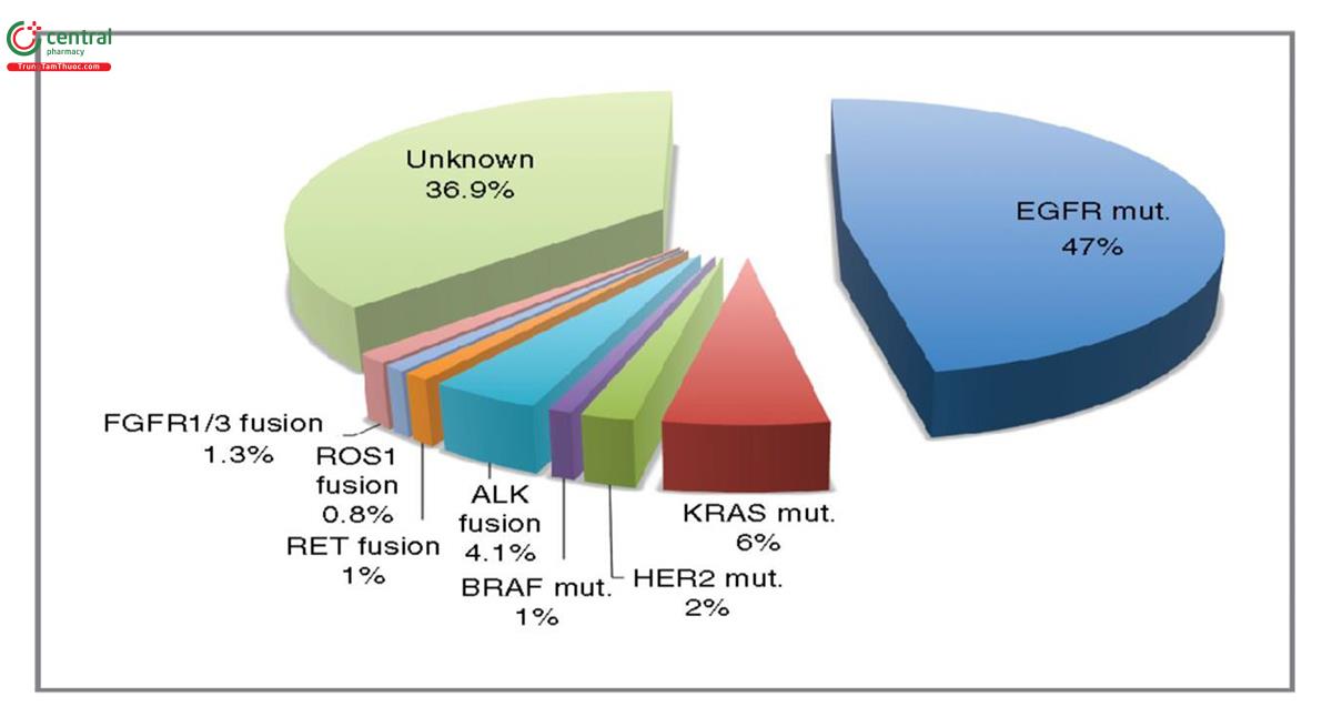 Hình 12. Tỷ lệ đột biến gen của ung thư biểu mô tuyến phế quản (37)