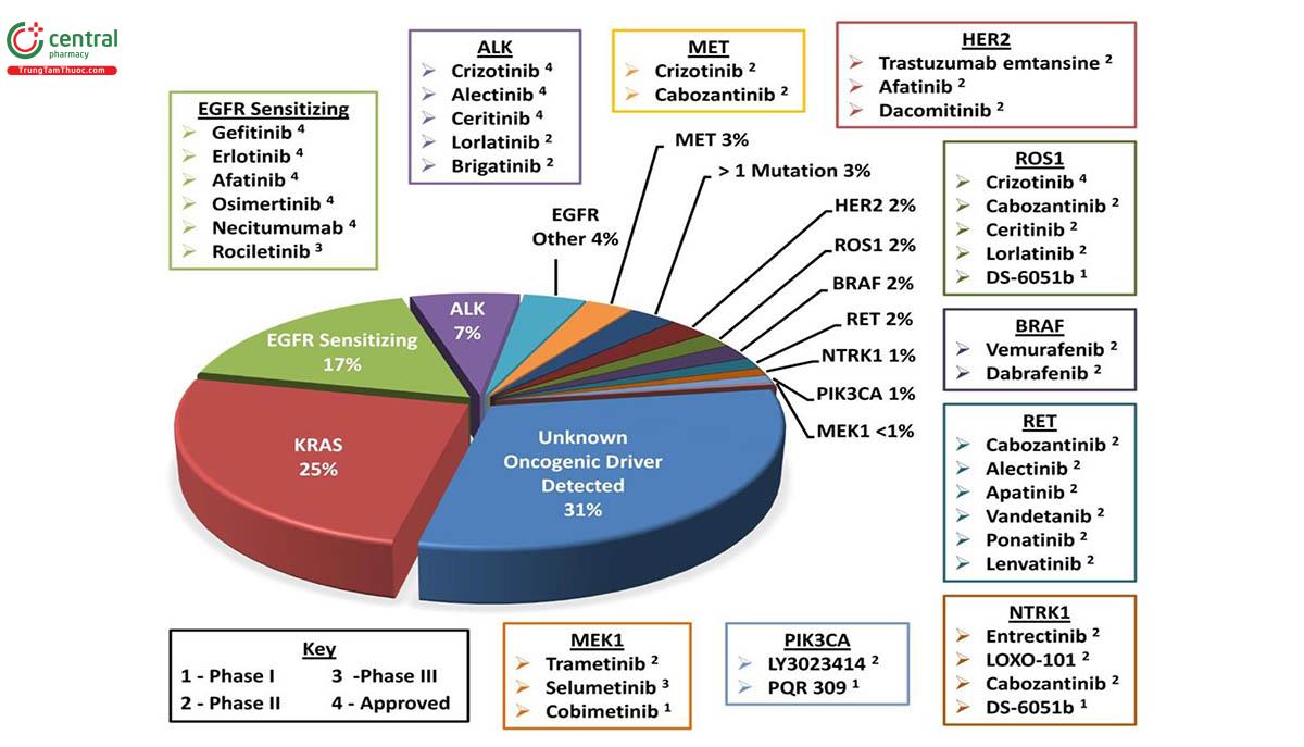 Hình 14. Đột biến gen ở bệnh nhân NSCLC và các thuốc điều trị đích tương ứng (44).