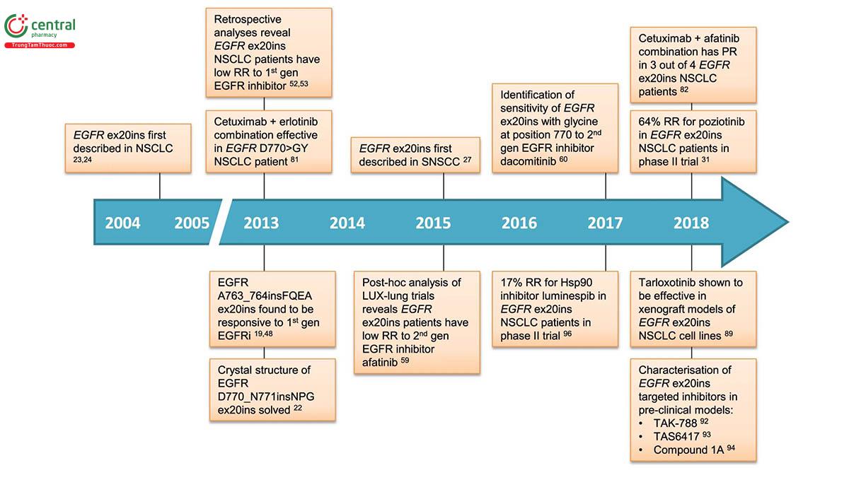 Hình 20. Các mốc thời gian phát hiện đột biến EGFR và các thế hệ thuốc nhắm đích (57).