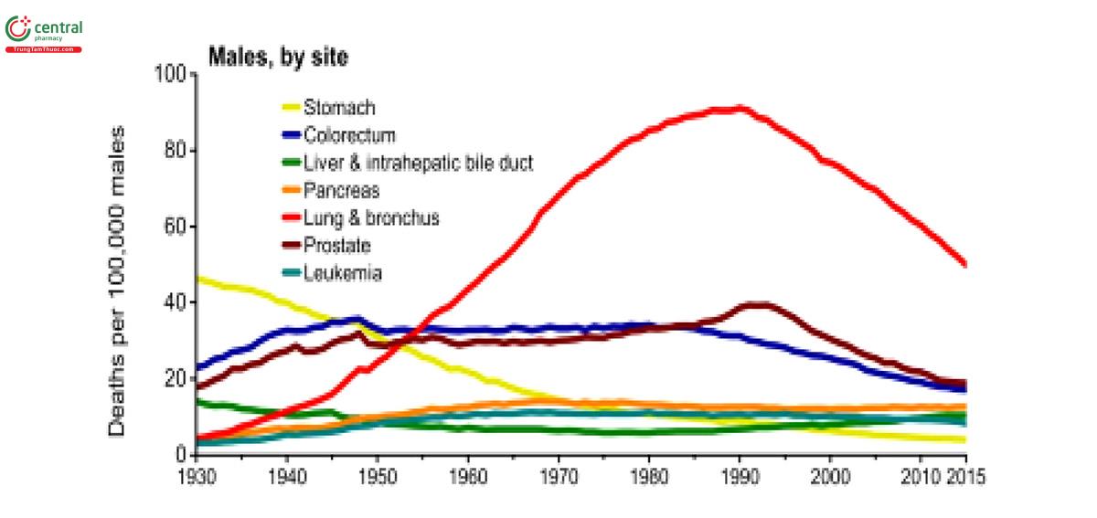 Hình 3. Xu hướng tử vong ở nam giới Mỹ giai đoạn 1930-2015: ung thư phổi đứng hàng đầu (đường màu đỏ) nhưng có xu hướng giảm dần (18)
