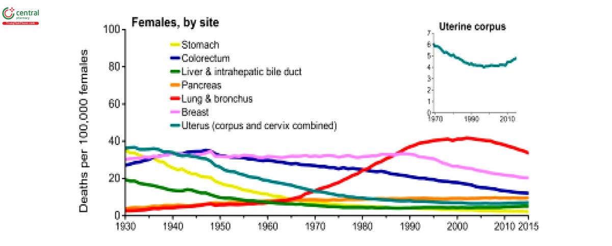 Hình 4. Xu hướng tử vong ở nữ giới Mỹ giai đoạn 1930-2015: ung thư phổi đứng hàng đầu (đường màu đỏ) nhưng có xu hướng giảm dần (18)