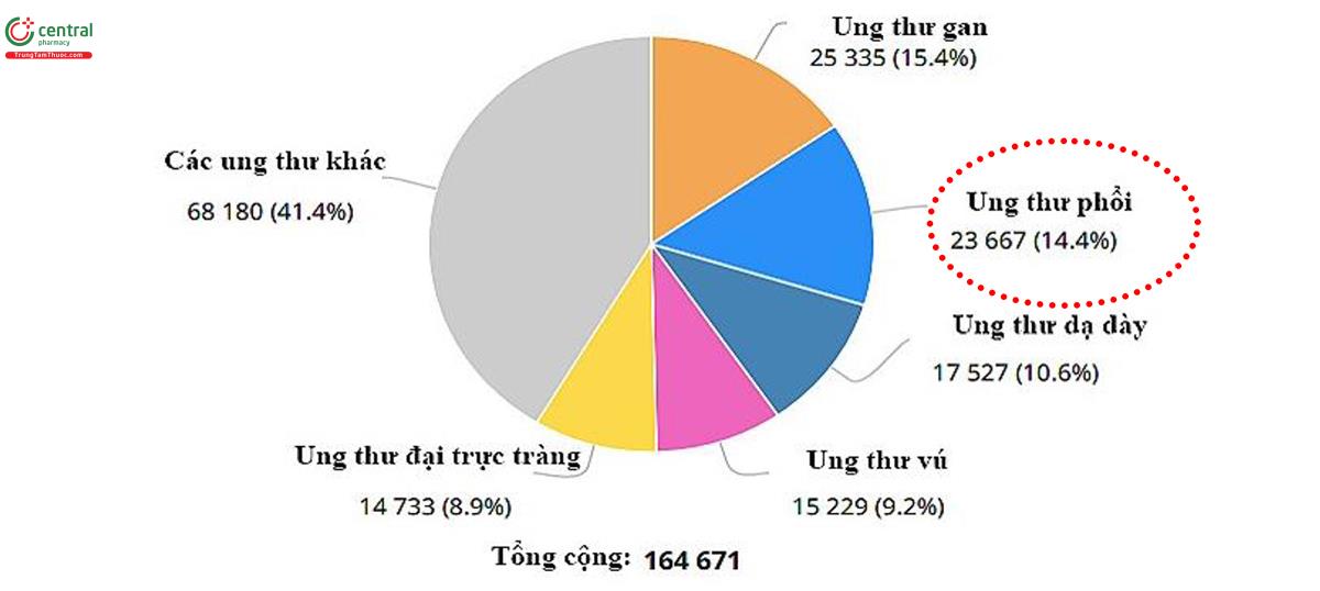 Hình 5. Số trường hợp mới mắc ung thư phổi tại Việt Nam ở cả 2 giới, mọi lứa tuổi (Globocan 2018): 23.667/164.671 trường hợp ung thư phổi (14,4%) (22).