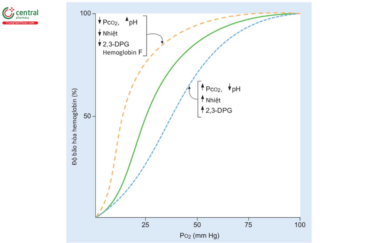 HÌNH 4.8 Những thay đổi trong đường cong phân ly hemoglobin-02. Ảnh hưởng của PCO2, pH, nhiệt độ, 2,3-diphosphoglycerate (DPG) và hemoglobin bào thai (hemoglobin F) trên đường cong phân ly hemoglobin-02.