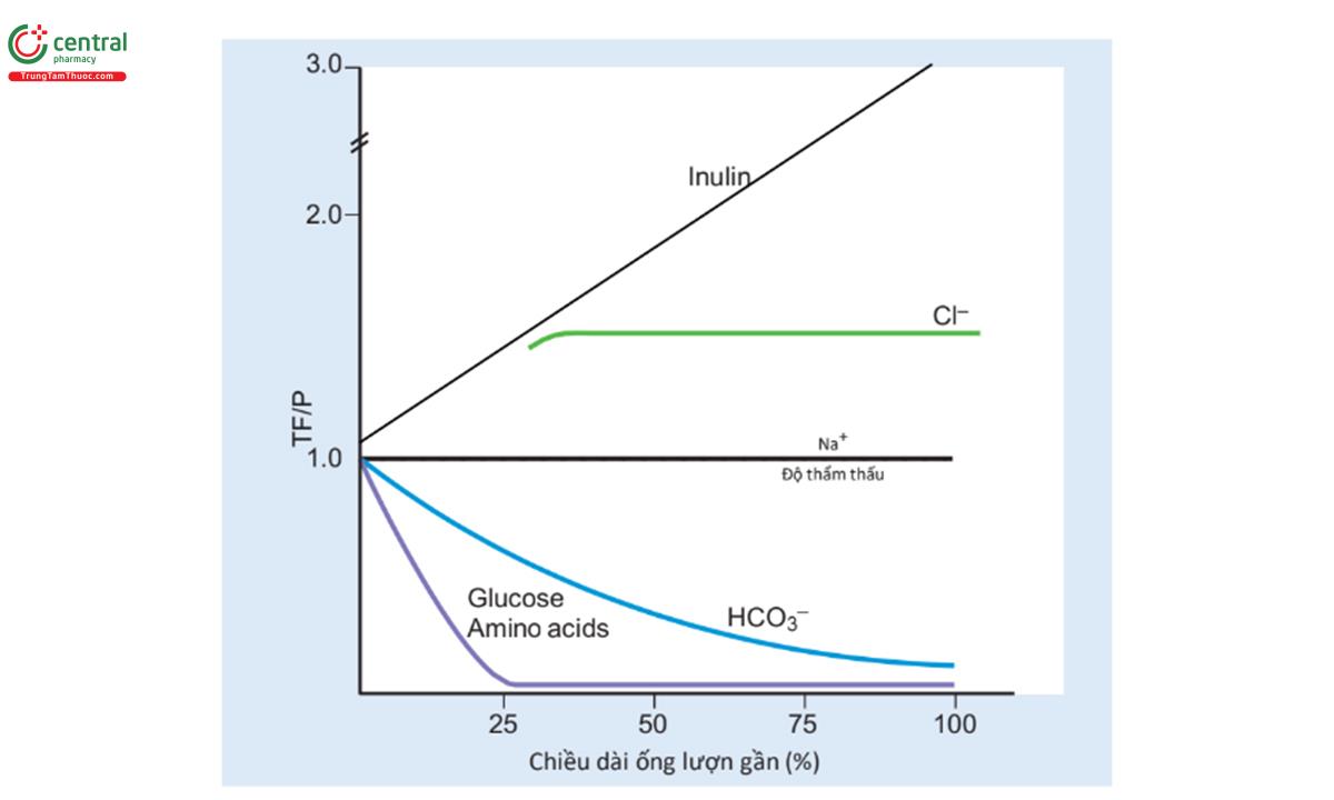 HÌNH 5.10 Những thay đổi về tỷ lệ nồng độ TF/P đối với các chất hòa tan khác nhau dọc theo ống lượn gần.