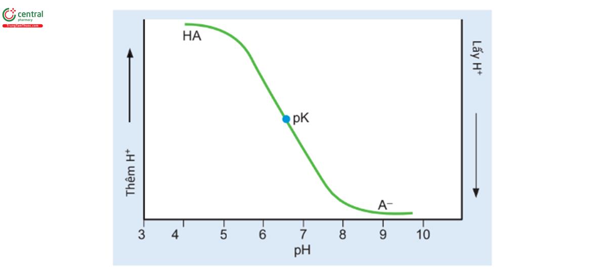 HÌNH 5.20 Đường chuẩn độ của acid yếu (HA) và base liên hợp của nó (A-).